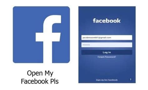 open my facebook please.